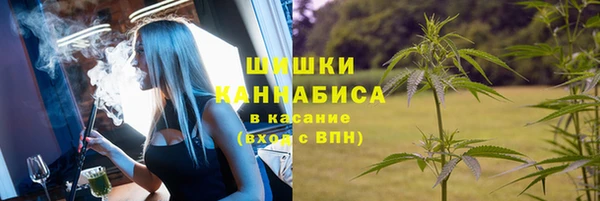 ГАЛЛЮЦИНОГЕННЫЕ ГРИБЫ Алзамай