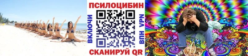 Галлюциногенные грибы Psilocybe блэк спрут ONION Долинск