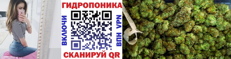 Шишки марихуана THC 21%  Долинск 
